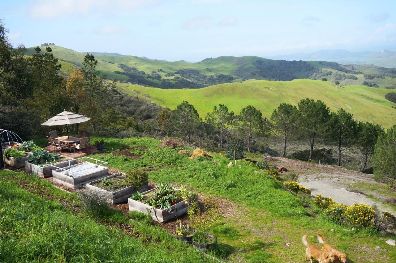 Mountain Top Getaway, Best View In Slo! - Whole House ซานหลุยส์ โอบิสโป ภายนอก รูปภาพ