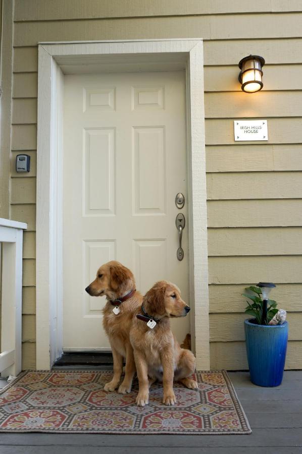 Mountain Top Getaway, Best View In Slo! - Whole House ซานหลุยส์ โอบิสโป ภายนอก รูปภาพ